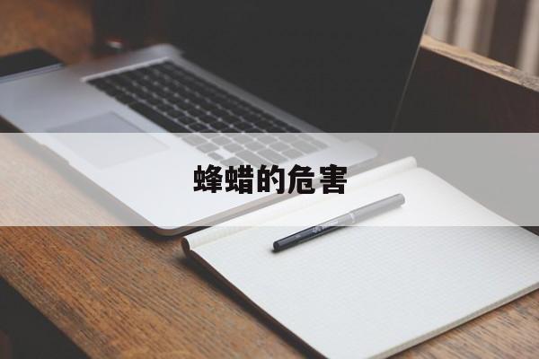 蜂蜡的危害-第1张图片-