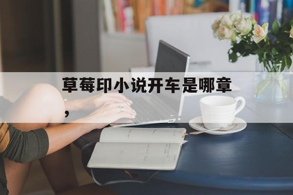 草莓印小说开车是哪章，-第1张图片-
