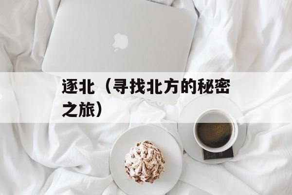 逐北（寻找北方的秘密之旅）-第1张图片-