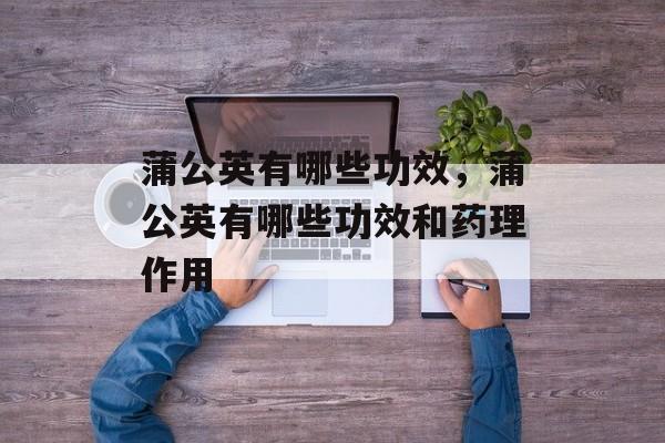 蒲公英有哪些功效，蒲公英有哪些功效和药理作用-第1张图片-