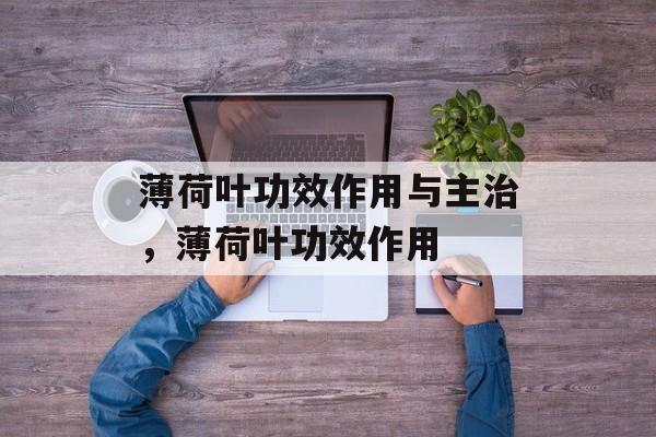 薄荷叶功效作用与主治，薄荷叶功效作用-第1张图片-