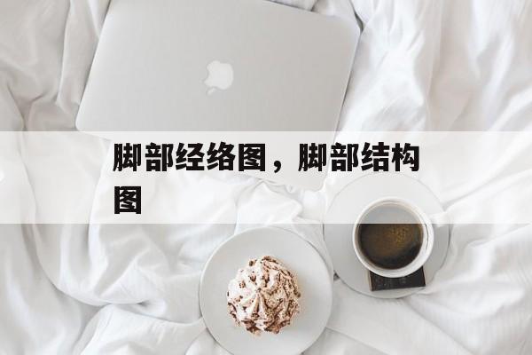 脚部经络图，脚部结构图-第1张图片-