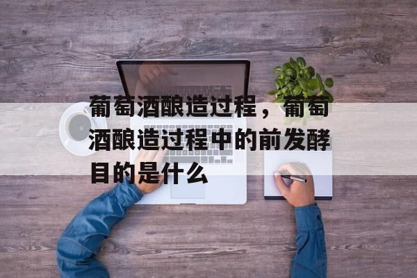 葡萄酒酿造过程，葡萄酒酿造过程中的前发酵目的是什么-第1张图片-