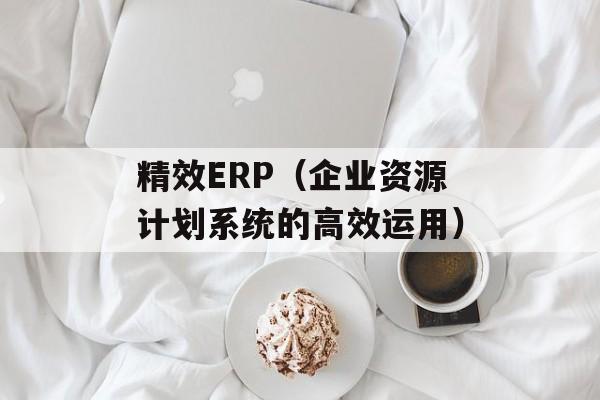精效ERP（企业资源计划系统的高效运用）-第1张图片-