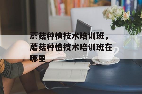 蘑菇种植技术培训班，蘑菇种植技术培训班在哪里-第1张图片-