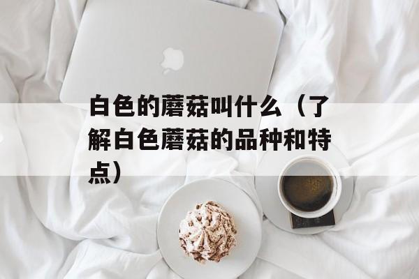 白色的蘑菇叫什么（了解白色蘑菇的品种和特点）-第1张图片-