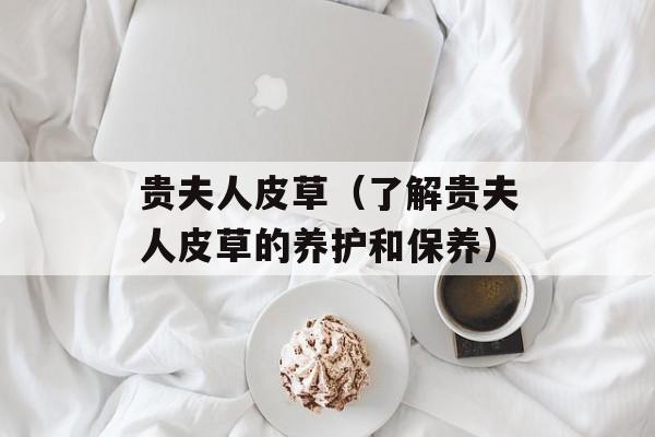 贵夫人皮草（了解贵夫人皮草的养护和保养）-第1张图片-