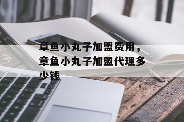 章鱼小丸子加盟费用，章鱼小丸子加盟代理多少钱-第1张图片-