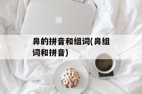 鼻的拼音和组词(鼻组词和拼音)-第1张图片-