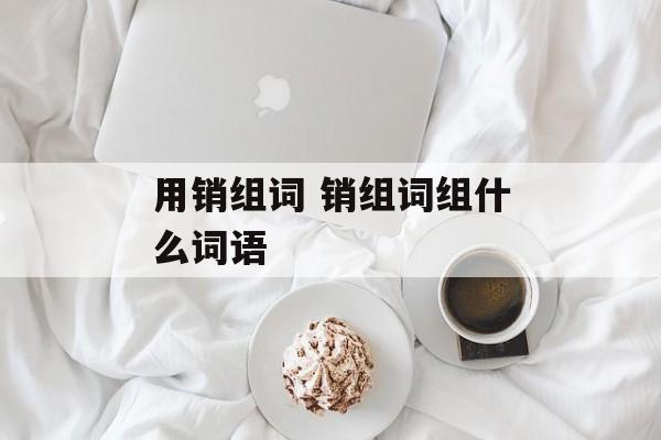 用销组词 销组词组什么词语-第1张图片-