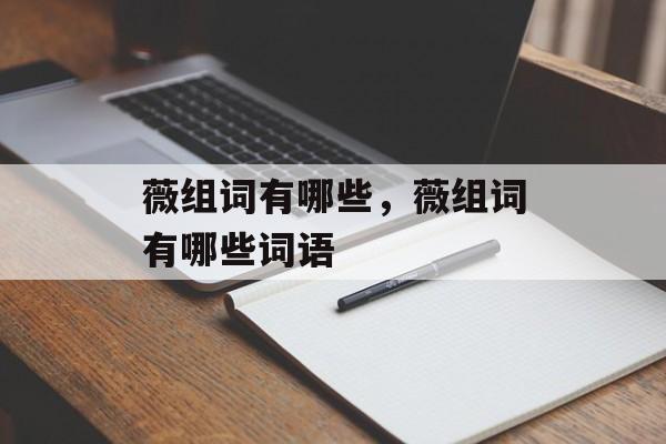 薇组词有哪些，薇组词有哪些词语-第1张图片-
