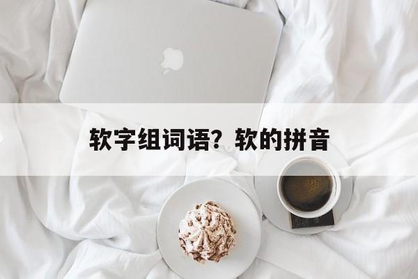 软字组词语？软的拼音-第1张图片-