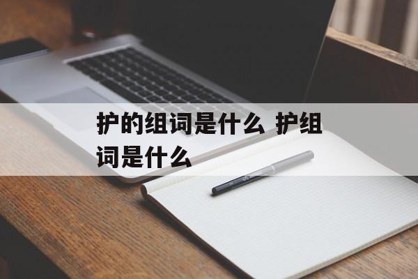 护的组词是什么 护组词是什么-第1张图片-