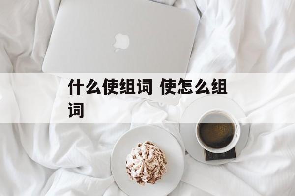 什么使组词 使怎么组词-第1张图片-