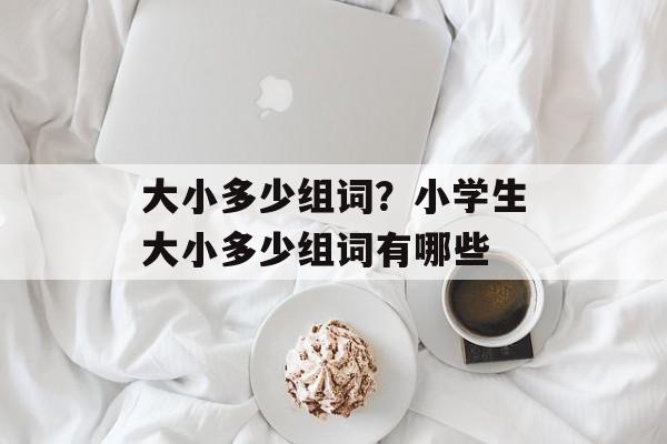 大小多少组词？小学生大小多少组词有哪些-第1张图片-